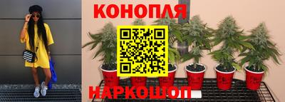 jwh Татарск